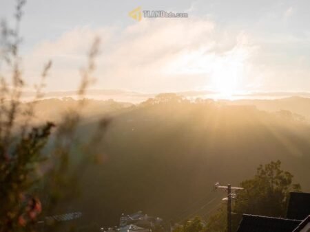 Villa 4 Tầng Hai Mặt Tiền Đặng Thái Thân, P3, cho thuê 2 tỷ đồng/năm