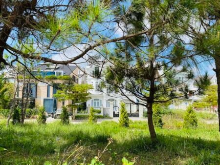 Villa Mặt Tiền Nguyễn Thị Nghĩa, P2, Đà Lạt Mặt tiền 15m x 20m