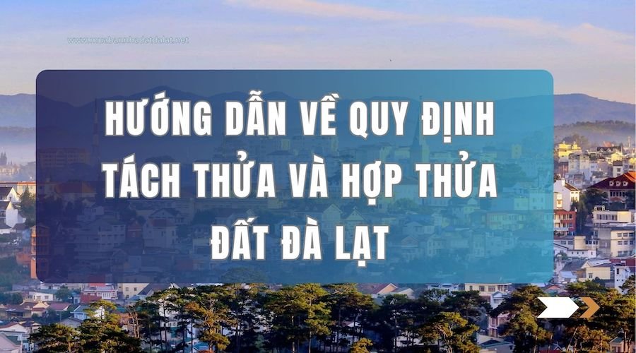 Hướng Dẫn Về Quy Định Tách Thửa và Hợp Thửa Đất Tại Đà Lạt