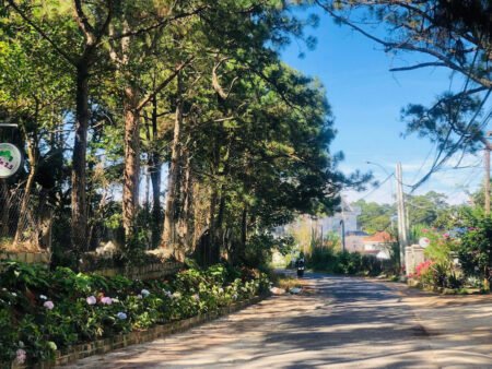 Đất Biệt Thự Hai Mặt Tiền Trịnh Hoài Đức, P11, Đà Lạt 20m x 55m