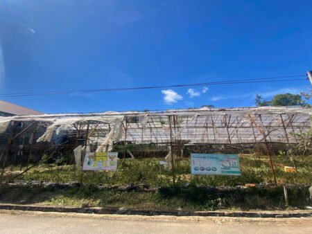 Đất Biệt Thự Mặt Tiền Sổ Riêng Đa Phú, Phường 7, Đà Lạt mặt tiền 17m