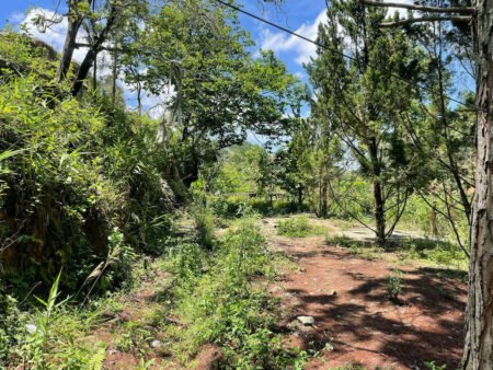 Đất Hẻm Ô Tô Lớn Mimosa, P10, Đà Lạt diện tích rộng 45m x 54m