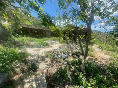 Đất Hẻm Ô Tô Lớn Mimosa, P10, Đà Lạt diện tích rộng 45m x 54m