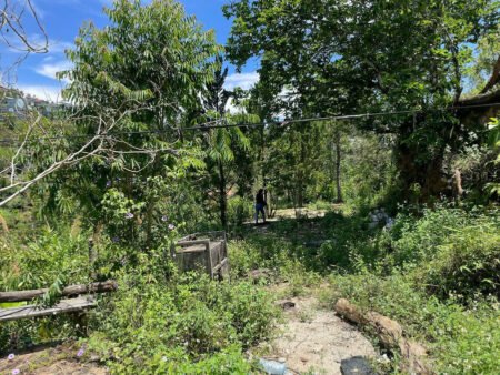 Đất Hẻm Ô Tô Lớn Mimosa, P10, Đà Lạt diện tích rộng 45m x 54m