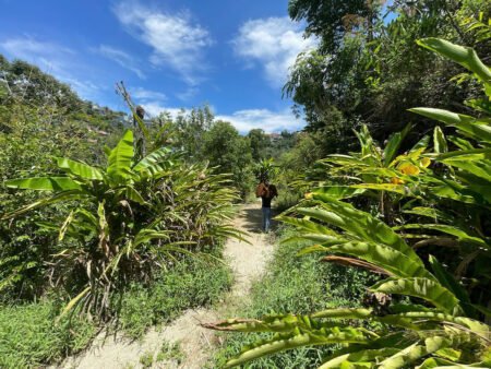 Đất Hẻm Ô Tô Lớn Mimosa, P10, Đà Lạt diện tích rộng 45m x 54m