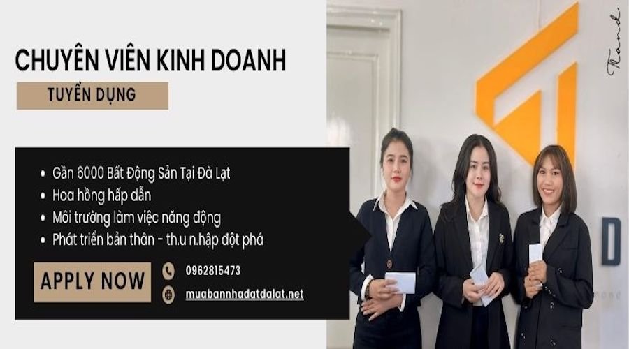 Tìm việc làm cho nữ tại Đà Lạt