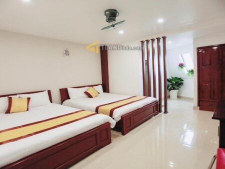 Khách Sạn Mặt Tiền Hà Huy Tập, P3, Đà Lạt có 19 Phòng nguồn thu tốt
