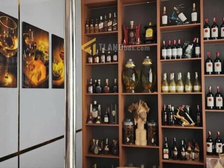 Villa 3 Tầng Hẻm Ô Tô Lớn Lương Đình Của, P11, Đà Lạt, mặt tiền rộng 8m