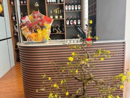 Villa 3 Tầng Hẻm Ô Tô Lớn Lương Đình Của, P11, Đà Lạt, mặt tiền rộng 8m