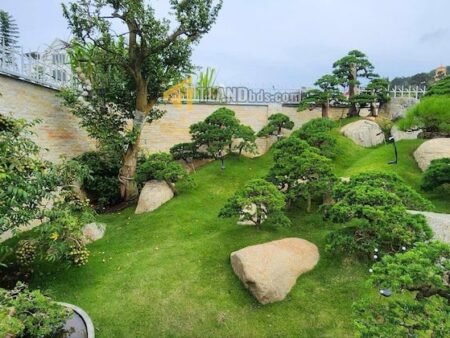 Villa 3 Tầng Hẻm Ô Tô Lớn Lương Đình Của, P11, Đà Lạt, mặt tiền rộng 8m