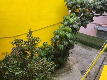 Nhà Cấp 4 Hẻm Ô Tô Nhỏ Hoàng Diệu, P5, Đà Lạt, mặt tiền rộng 22.48m