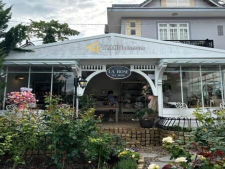 Villa Hẻm Ô Tô Lớn Hoàng Diệu, P5, Đà Lạt, khuôn đất rộng 12m x 27m