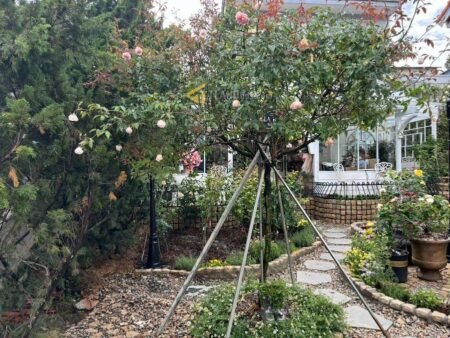 Villa Hẻm Ô Tô Lớn Hoàng Diệu, P5, Đà Lạt, khuôn đất rộng 12m x 27m