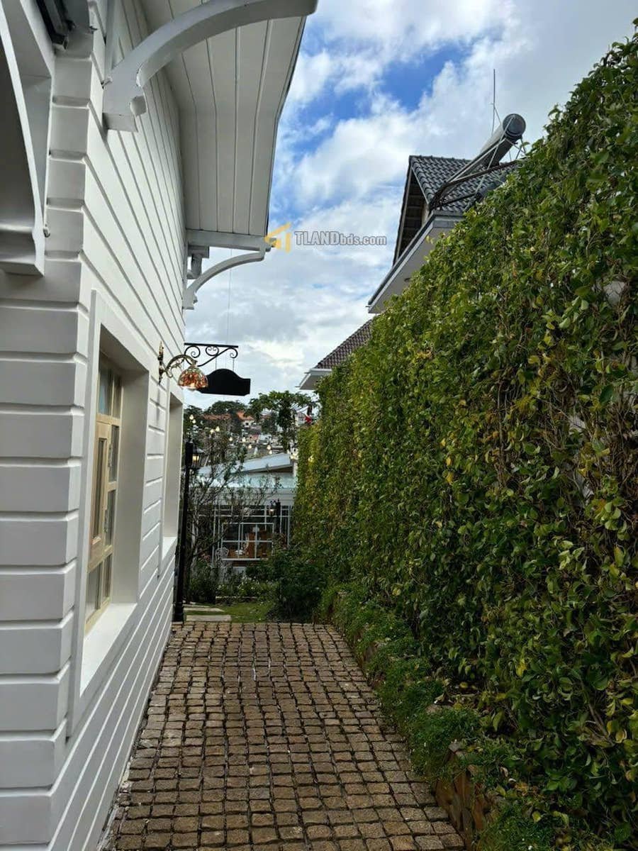 Villa Hẻm Ô Tô Lớn Hoàng Diệu, P5, Đà Lạt, khuôn đất rộng 12m x 27m Villa Hẻm Ô Tô Lớn Hoàng Diệu, P5, Đà Lạt, khuôn đất rộng 12m x 27m