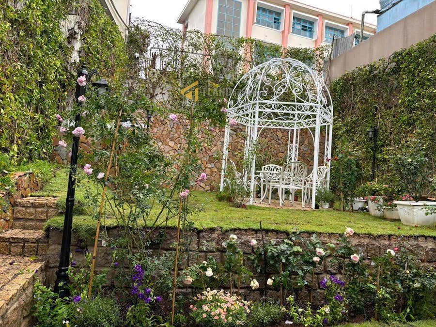 Villa Hẻm Ô Tô Lớn Hoàng Diệu, P5, Đà Lạt, khuôn đất rộng 12m x 27m Villa Hẻm Ô Tô Lớn Hoàng Diệu, P5, Đà Lạt, khuôn đất rộng 12m x 27m