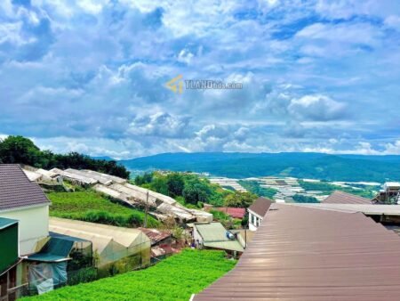 Villa Hẻm Ô Tô Lớn Quốc Lộ 20, Xuân Thọ, Đà Lạt mặt tiền ngang 16m