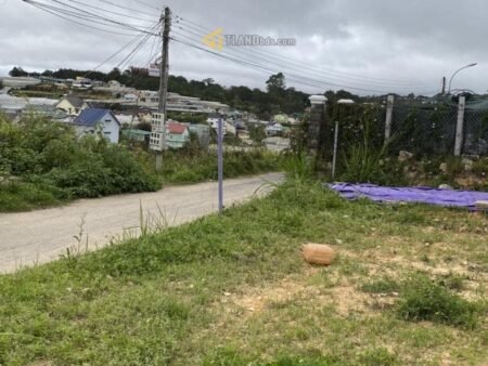 Đất Mặt Tiền Lý Nam Đế, Phường 8, Đà Lạt 540 m² – 100% thổ cư