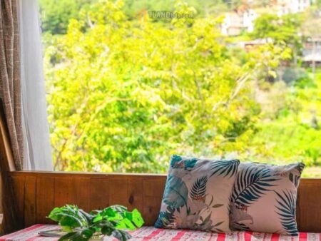 Homestay Hẻm Ô Tô Nhỏ Đặng Thái Thân, P3, Đà Lạt, mặt tiền rộng 5m