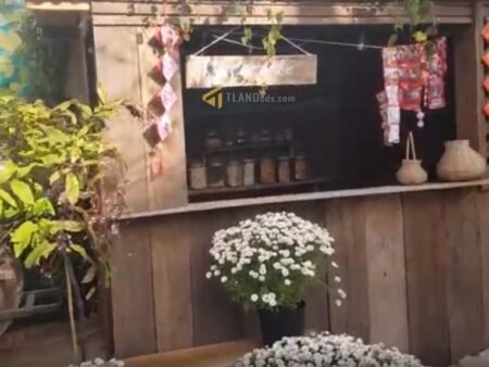 Bán Hoặc Cho Thuê Homestay Hẻm Ô Tô Lớn Hà Huy Tập, P3, Đà Lạt