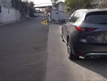 Bán Hoặc Cho Thuê Homestay Hẻm Ô Tô Lớn Hà Huy Tập, P3, Đà Lạt