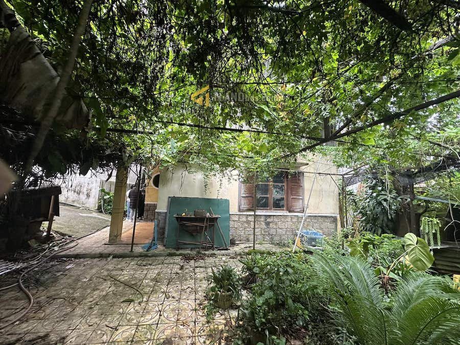 Nhà Cấp 4 Mặt Tiền Nam Kỳ Khởi Nghĩa, P1, Đà Lạt giá chỉ 115tr/m2 Nhà Cấp 4 Mặt Tiền Nam Kỳ Khởi Nghĩa, P1, Đà Lạt giá chỉ 115tr/m2