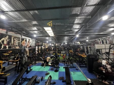 Nhà Phố Hẻm Ô Tô Lớn Thông Thiên Học, Phường 2, Đà Lạt, 8.26m x 83m