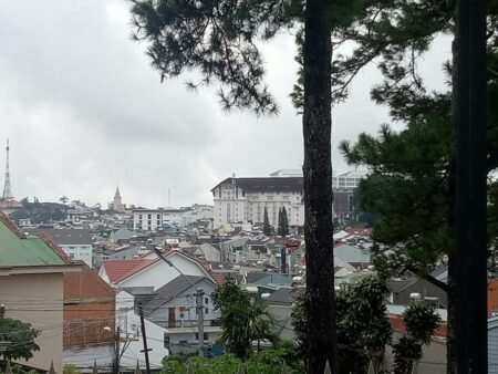 Nhà Cấp 4 Hẻm Ô Tô Lớn Nguyễn Khuyến, P5, Đà Lạt, mặt tiền rộng 14m