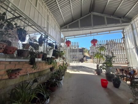 Nhà Phố Mặt Tiền Tô Hiến Thành, Phường 3, Đà Lạt ngang rộng 20m