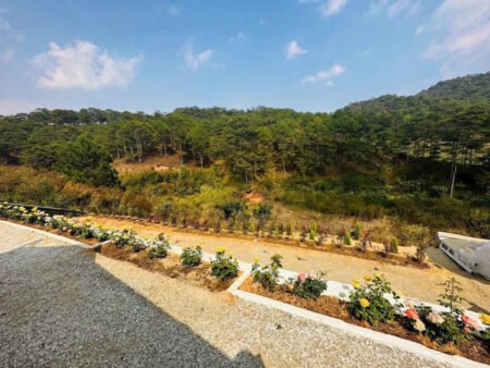 Đất Lớn Tại Hoàng Hoa Thám, Phường 10, Đà Lạt, kích thước 15m x 69m