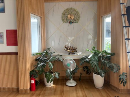 Villa 4 Tầng Hẻm Ô Tô Lớn Mai Anh Đào, Phường 8, Đà Lạt, mặt tiền rộng 12m