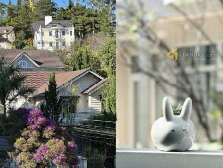 Nhà Phố 3 Tầng Hẻm Ô Tô Lớn Phù Đổng Thiên Vương, Phường 8, Đà Lạt