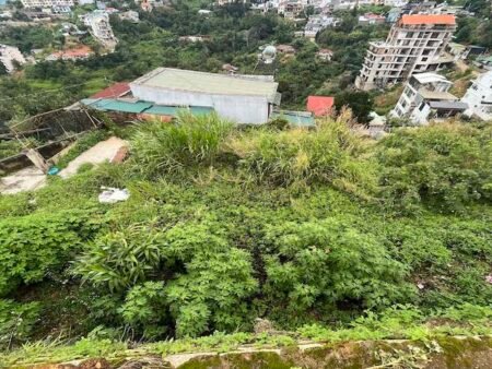 Đất Hẻm Ô Tô Lớn Hoàng Hoa Thám, P10, Đà Lạt, 180m2 ngang 12m