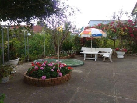 Đất Và Nhà Phố Hẻm Ô Tô Lớn Nguyễn Đình Chiểu, P9, Đà Lạt ngang hơn 24m