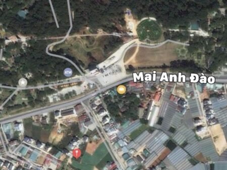 Đất hẻm ô tô lớn Mai Anh Đào, P8, Đà Lạt, mặt tiền rộng 16.65m