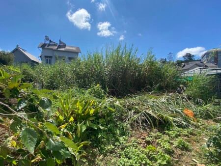 Đất Hẻm Ô Tô Lớn Hùng Vương, Phường 10, Đà Lạt mặt tiền rộng 10m