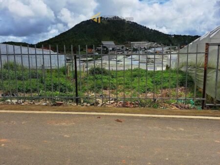 Đất Hẻm Ô Tô Lớn Ngô Gia Tự, Phường 12, Đà Lạt ngang 13m