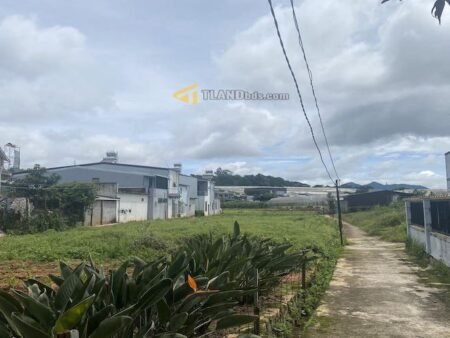 Nhà Cấp 4 Mặt Tiền Trạng Trình, P9, Đà Lạt mặt tiền 11.98m x 24m