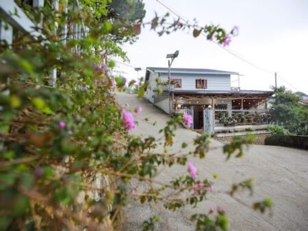 Homestay hẻm ô tô lớn Triệu Việt Vương, P3, Đà Lạt mặt tiền rộng 17m