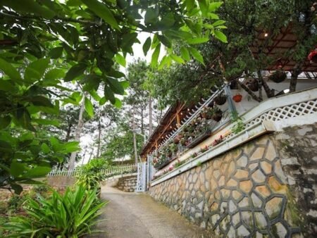 Homestay hẻm ô tô lớn Triệu Việt Vương, P3, Đà Lạt mặt tiền rộng 17m