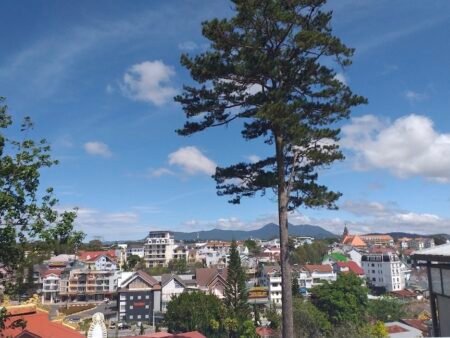 Villa Hẻm Ô Tô Lớn Trần Hưng Đạo, P10 gần 800m2 trung tâm Đà Lạt