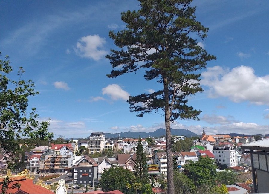 Villa Hẻm Ô Tô Lớn Trần Hưng Đạo, P10 gần 800m2 trung tâm Đà Lạt Villa Hẻm Ô Tô Lớn Trần Hưng Đạo, P10 gần 800m2 trung tâm Đà Lạt