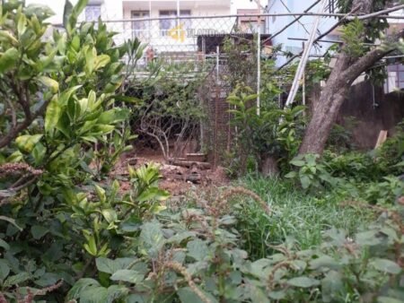 Nhà Cấp 4 Hẻm Ô Tô Nhỏ Sương Nguyệt Ánh, P9, Đà Lạt, mặt tiền rộng 4.4m