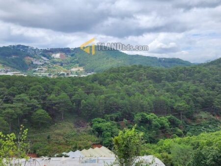 Nhà Cấp 4 Hẻm Ô Tô Lớn Hoàng Hoa Thám, P10, Đà Lạt, khuôn đất 17.7m x 40m