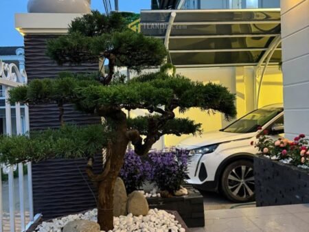 Villa hẻm ô tô lớn Trần Đại Nghĩa, Phường 8, Đà Lạt, mặt tiền rộng 15m