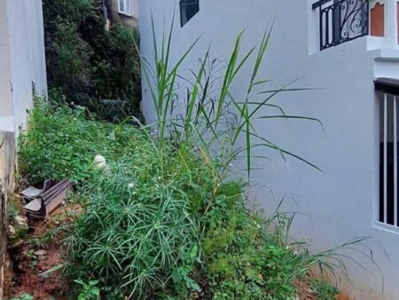 Đất hẻm ô tô nhỏ Nguyễn An Ninh, P6, Đà Lạt, khuôn đất 4.08m x 17m