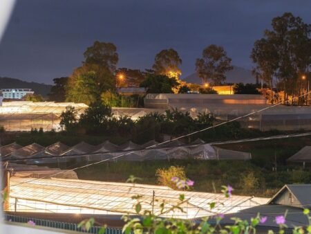 Nhà Phố Hẻm Ô Tô Lớn Lữ Gia, Phường 9, Đà Lạt, chiều ngang 6.95m