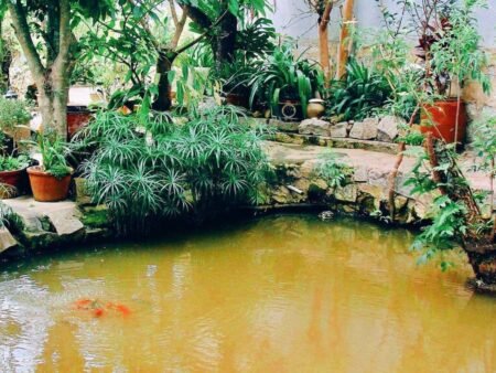 Nhà Cấp 4 Hẻm Ô Tô Nhỏ Nguyễn Du, Phường 10, Đà Lạt mặt tiền rộng 15m