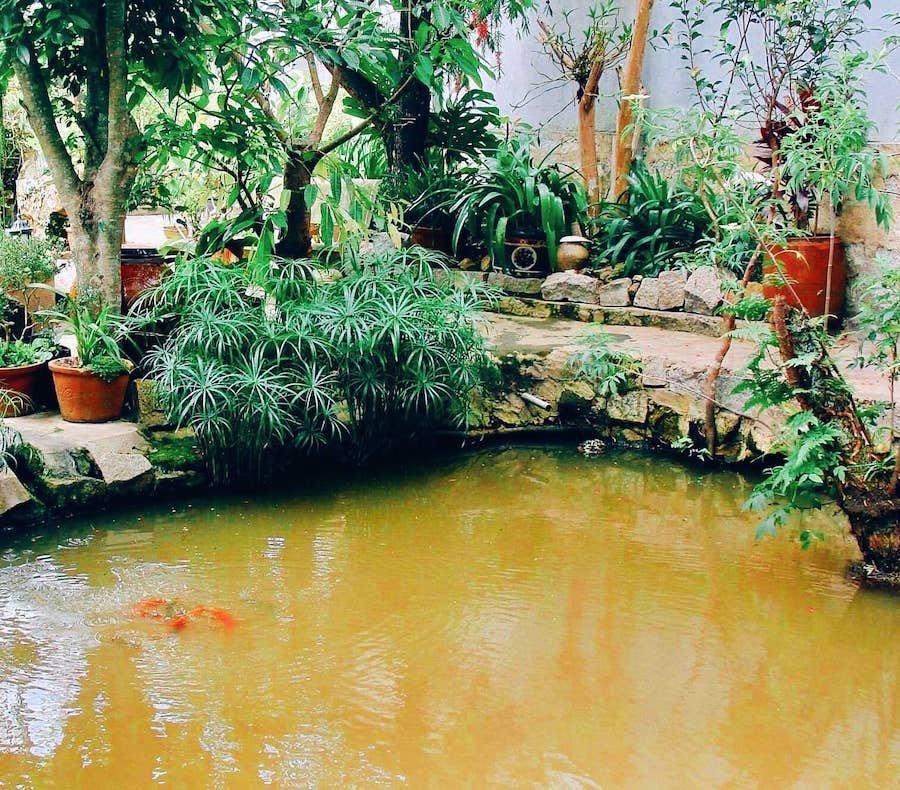 Nhà Cấp 4 Hẻm Ô Tô Nhỏ Nguyễn Du, Phường 10, Đà Lạt mặt tiền rộng 15m Nhà Cấp 4 Hẻm Ô Tô Nhỏ Nguyễn Du, Phường 10, Đà Lạt mặt tiền rộng 15m