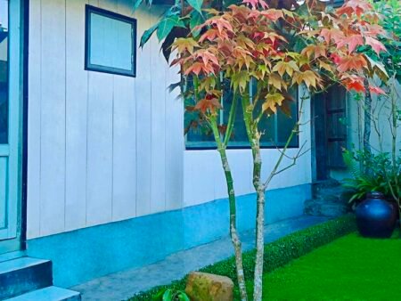 Nhà Cấp 4 Hẻm Ô Tô Nhỏ Nguyễn Du, Phường 10, Đà Lạt mặt tiền rộng 15m