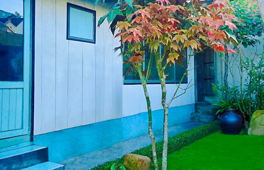 Nhà Cấp 4 Hẻm Ô Tô Nhỏ Nguyễn Du, Phường 10, Đà Lạt mặt tiền rộng 15m Nhà Cấp 4 Hẻm Ô Tô Nhỏ Nguyễn Du, Phường 10, Đà Lạt mặt tiền rộng 15m